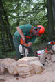 Click to see it big Ich mit Kettensäge, Impression aus dem Wald